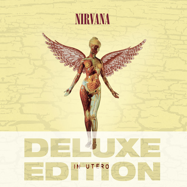 Album artwork for Nirvana's Heart-Shaped Box.